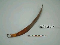 藏品(牛骨匙)的圖片